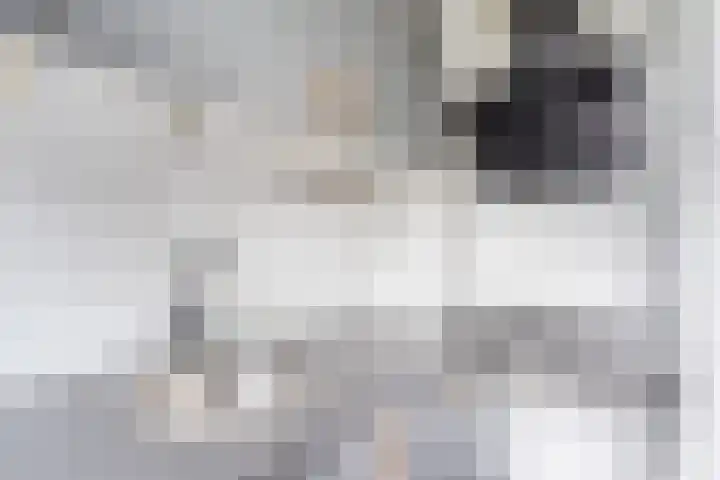 Vondellaan 12 Soest thumbnail 10