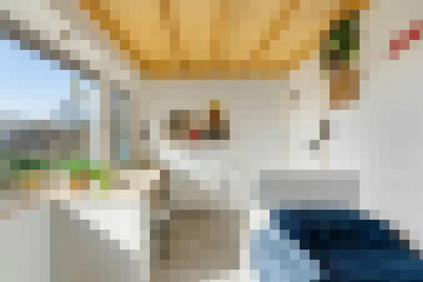 Vondellaan 126 Papendrecht thumbnail 31