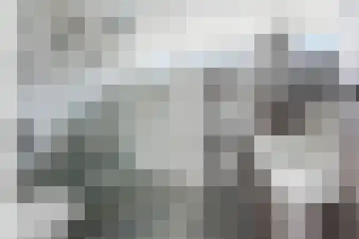 Vondellaan 128 Papendrecht thumbnail 31