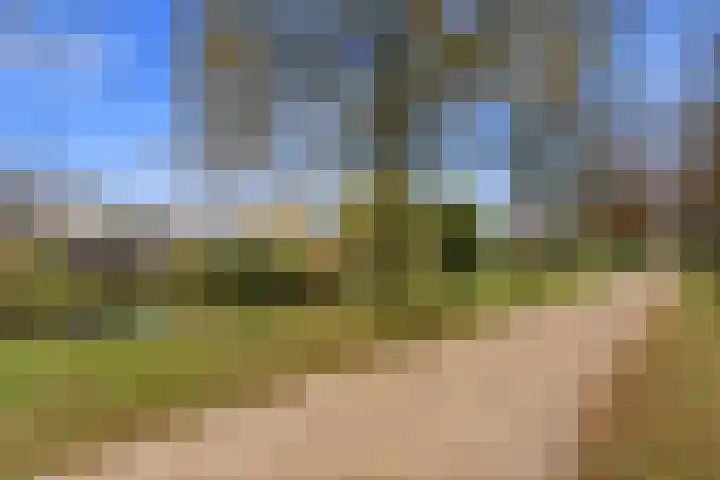 Vondellaan 128 Papendrecht thumbnail 43