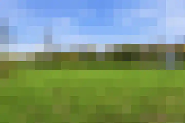 Vondellaan 128 Papendrecht thumbnail 51