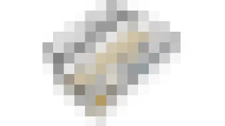 Vondellaan 128 Papendrecht thumbnail 53