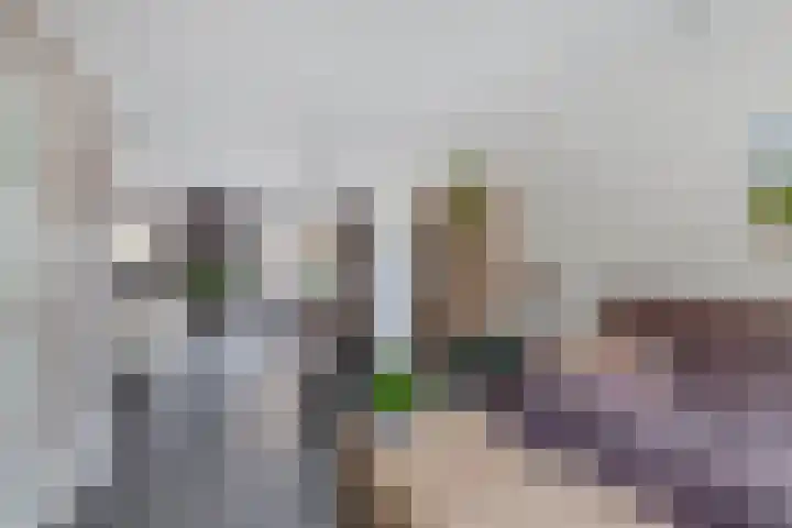 Vondellaan 13 Waddinxveen thumbnail 12
