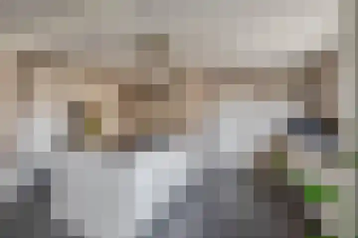 Vondellaan 13 Waddinxveen thumbnail 14