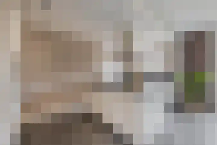 Vondellaan 13 Waddinxveen thumbnail 15