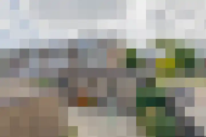 Vondellaan 13 Waddinxveen thumbnail 20