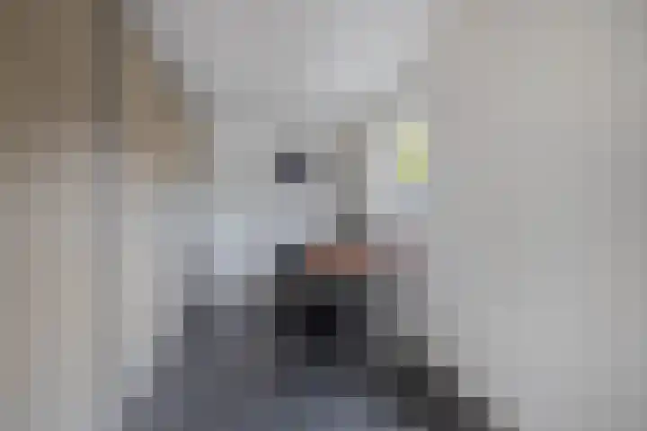 Vondellaan 13 Waddinxveen thumbnail 31