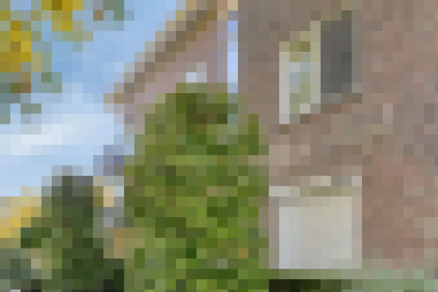 Vondellaan 135 Gemert thumbnail 10