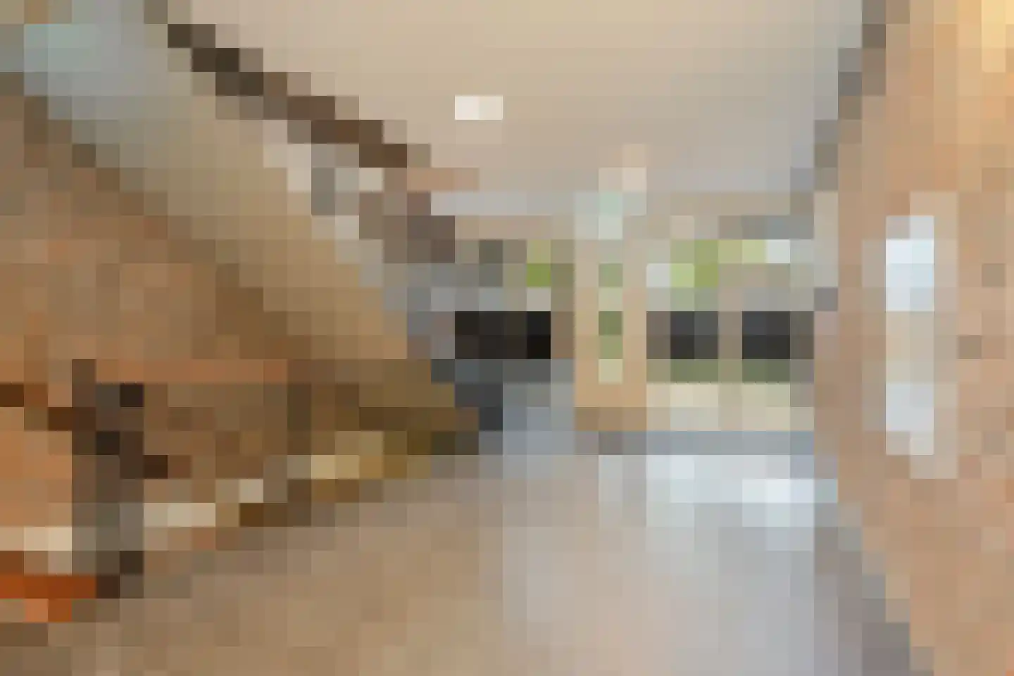 Vondellaan 135 Gemert thumbnail 12