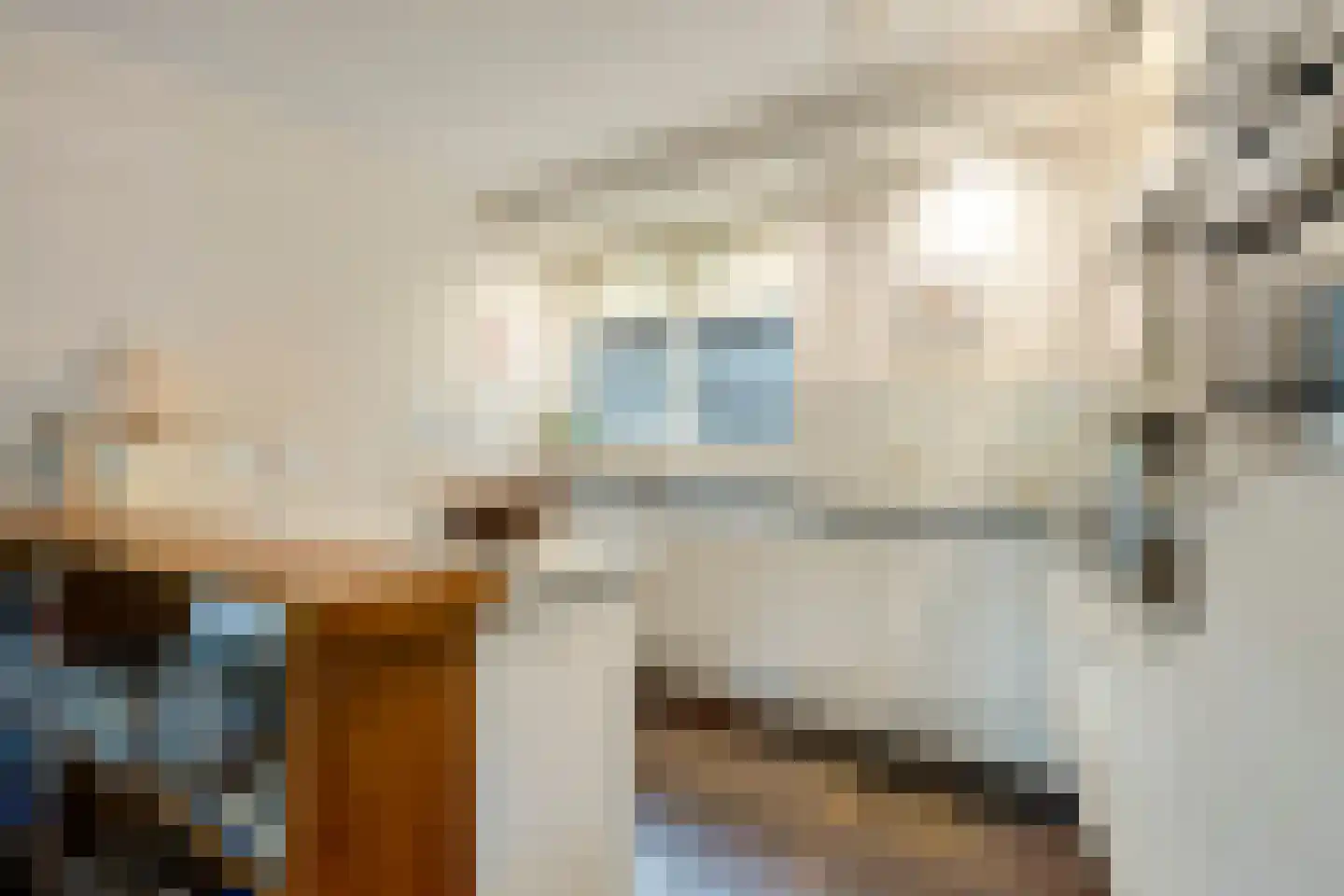 Vondellaan 135 Gemert thumbnail 24