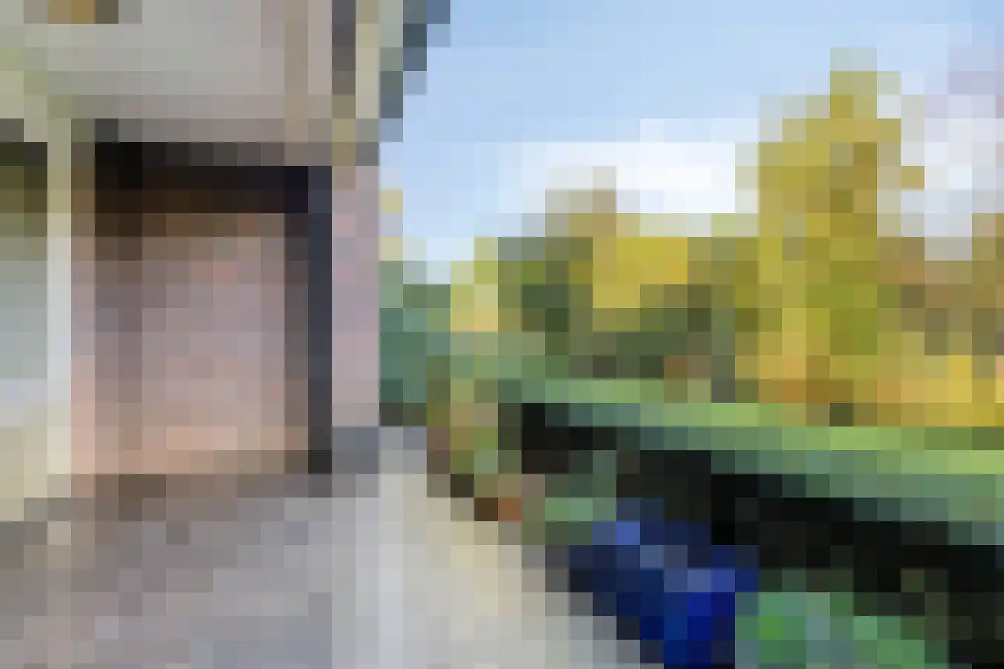 Vondellaan 135 Gemert thumbnail 34