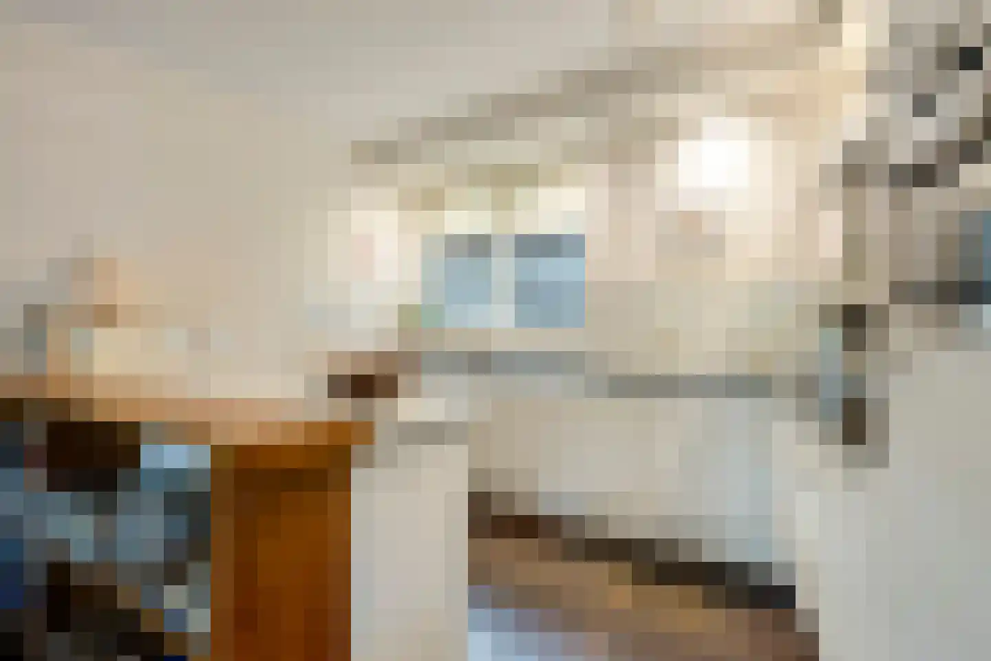 Vondellaan 135 Gemert thumbnail 4