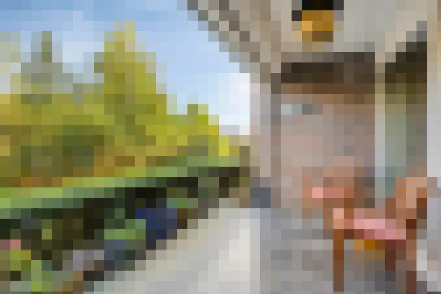 Vondellaan 135 Gemert thumbnail 6