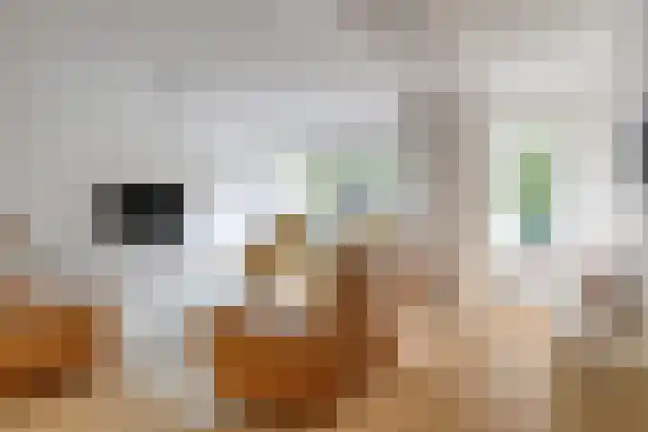 Vondellaan 14 4 Haren Gn thumbnail 15
