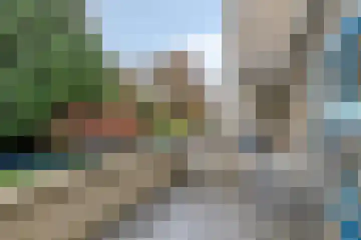 Vondellaan 14 4 Haren Gn thumbnail 28
