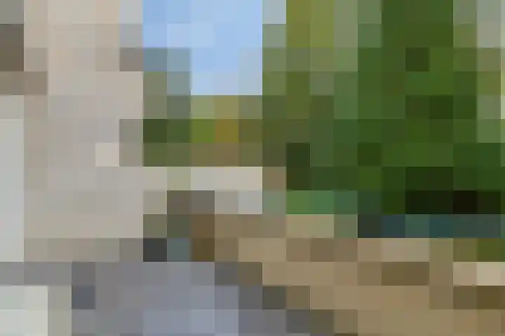 Vondellaan 14 4 Haren Gn thumbnail 29