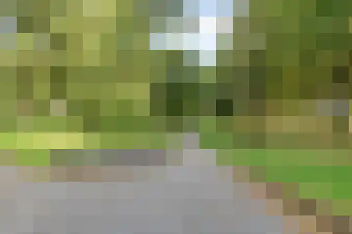 Vondellaan 14 4 Haren Gn thumbnail 47
