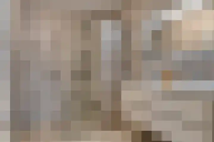 Vondellaan 14 4 Haren Gn thumbnail 5