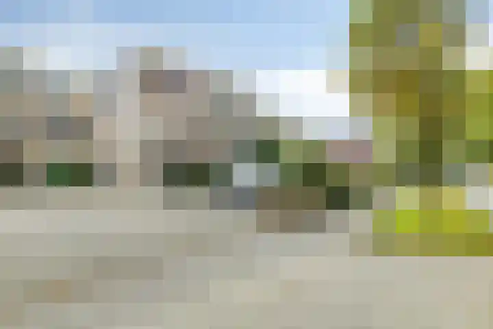 Vondellaan 14 4 Haren Gn thumbnail 7