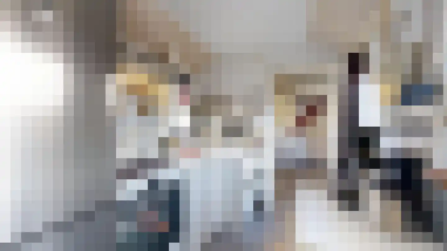 Vondellaan 14 Geleen thumbnail 12