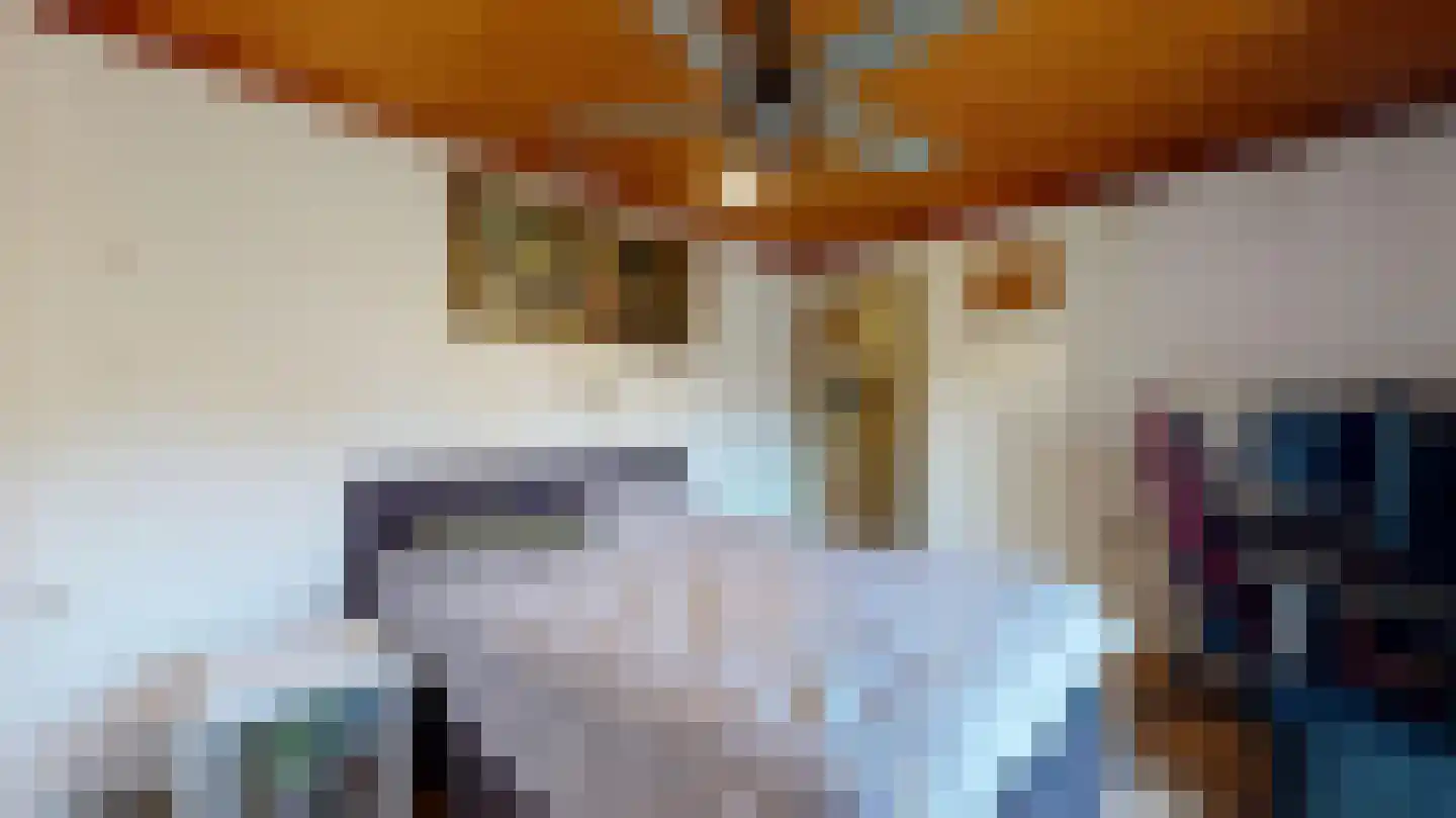 Vondellaan 14 Geleen thumbnail 14