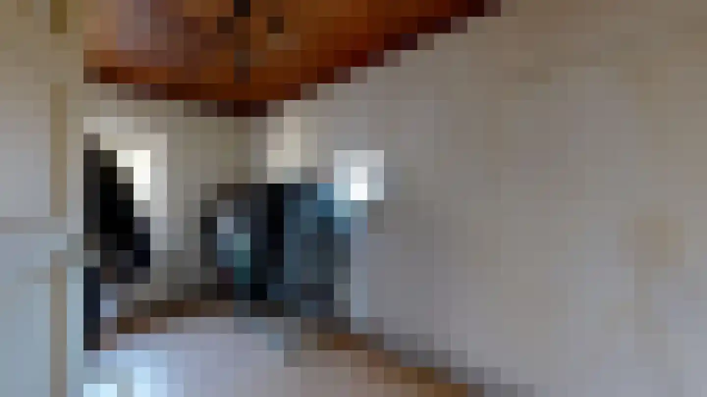 Vondellaan 14 Geleen thumbnail 17