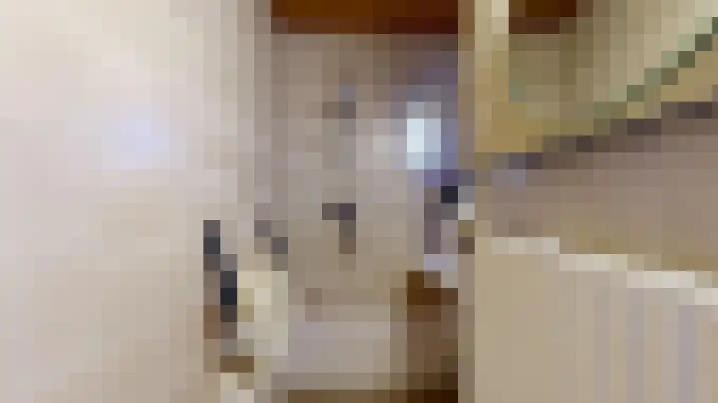 Vondellaan 14 Geleen thumbnail 19