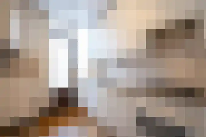 Vondellaan 140 Papendrecht thumbnail 10