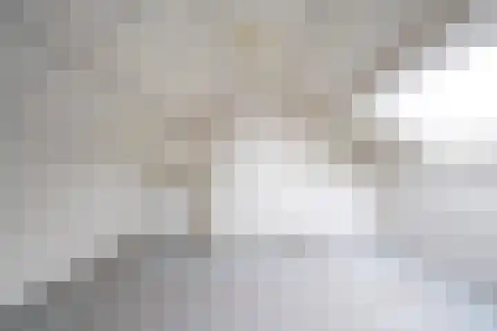 Vondellaan 140 Papendrecht thumbnail 25
