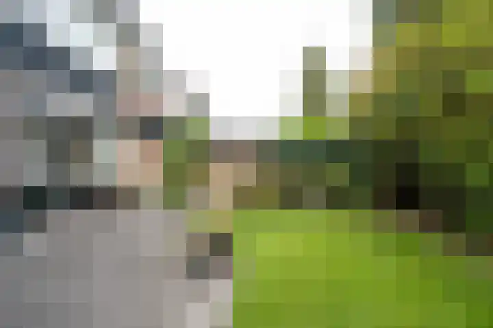 Vondellaan 140 Papendrecht thumbnail 28