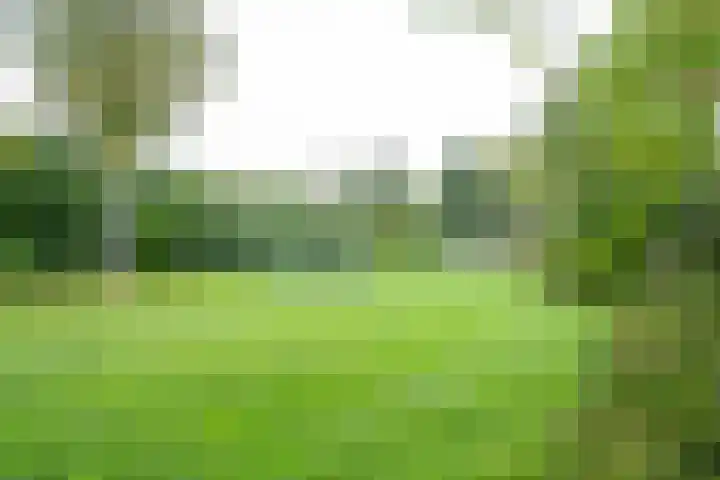 Vondellaan 140 Papendrecht thumbnail 31