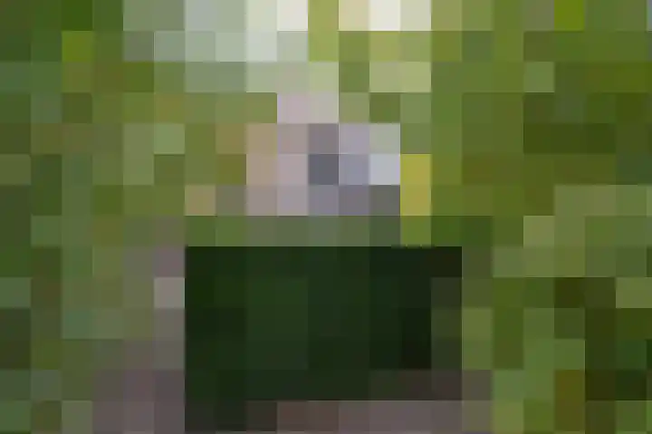 Vondellaan 140 Papendrecht thumbnail 32