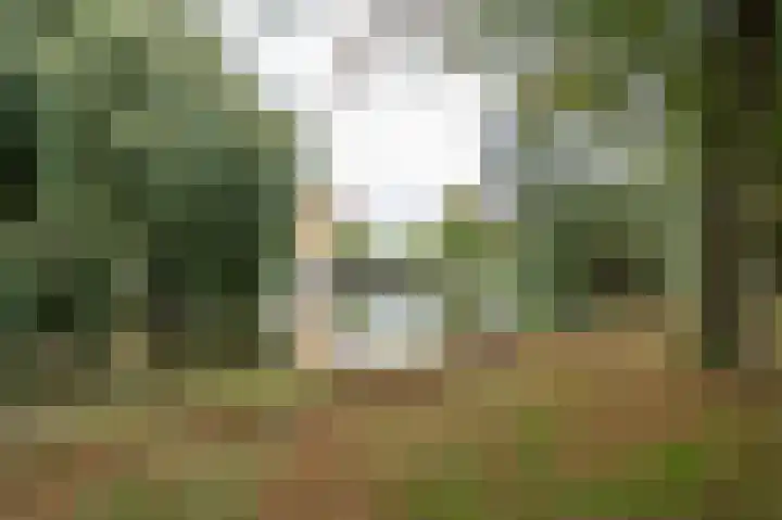 Vondellaan 140 Papendrecht thumbnail 33