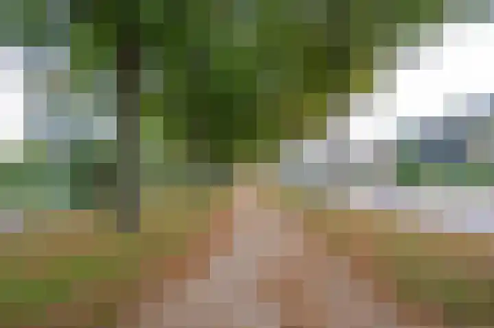Vondellaan 140 Papendrecht thumbnail 34