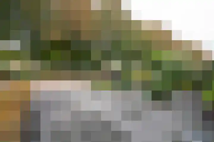 Vondellaan 140 Papendrecht thumbnail 35