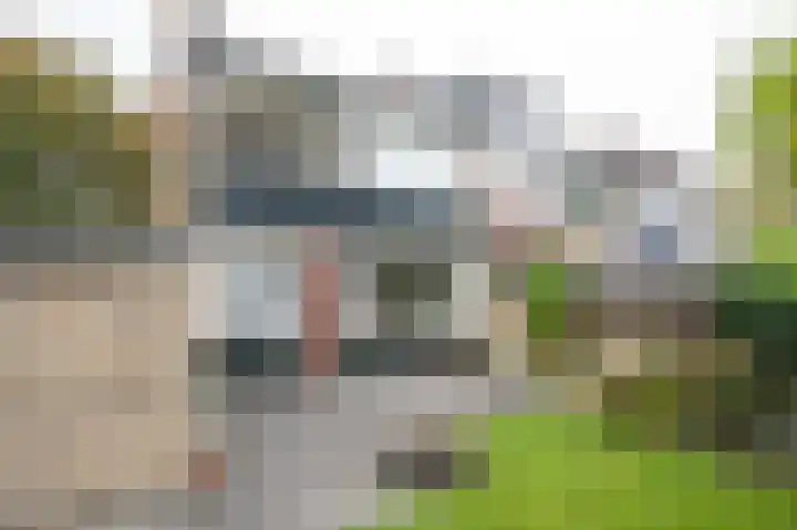Vondellaan 140 Papendrecht thumbnail 4