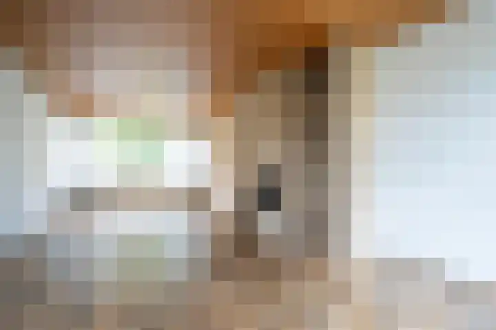 Vondellaan 140 Papendrecht thumbnail 9