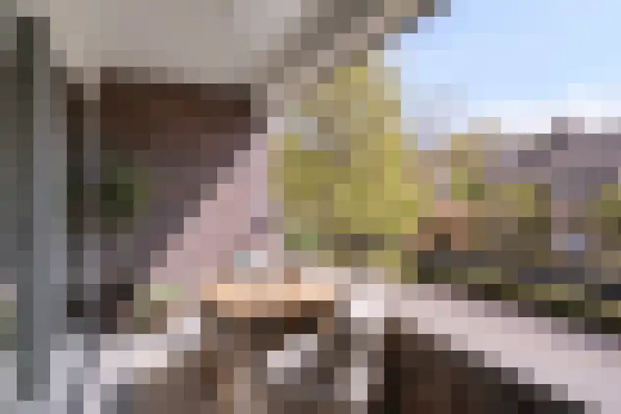Vondellaan 159 Gemert thumbnail 24