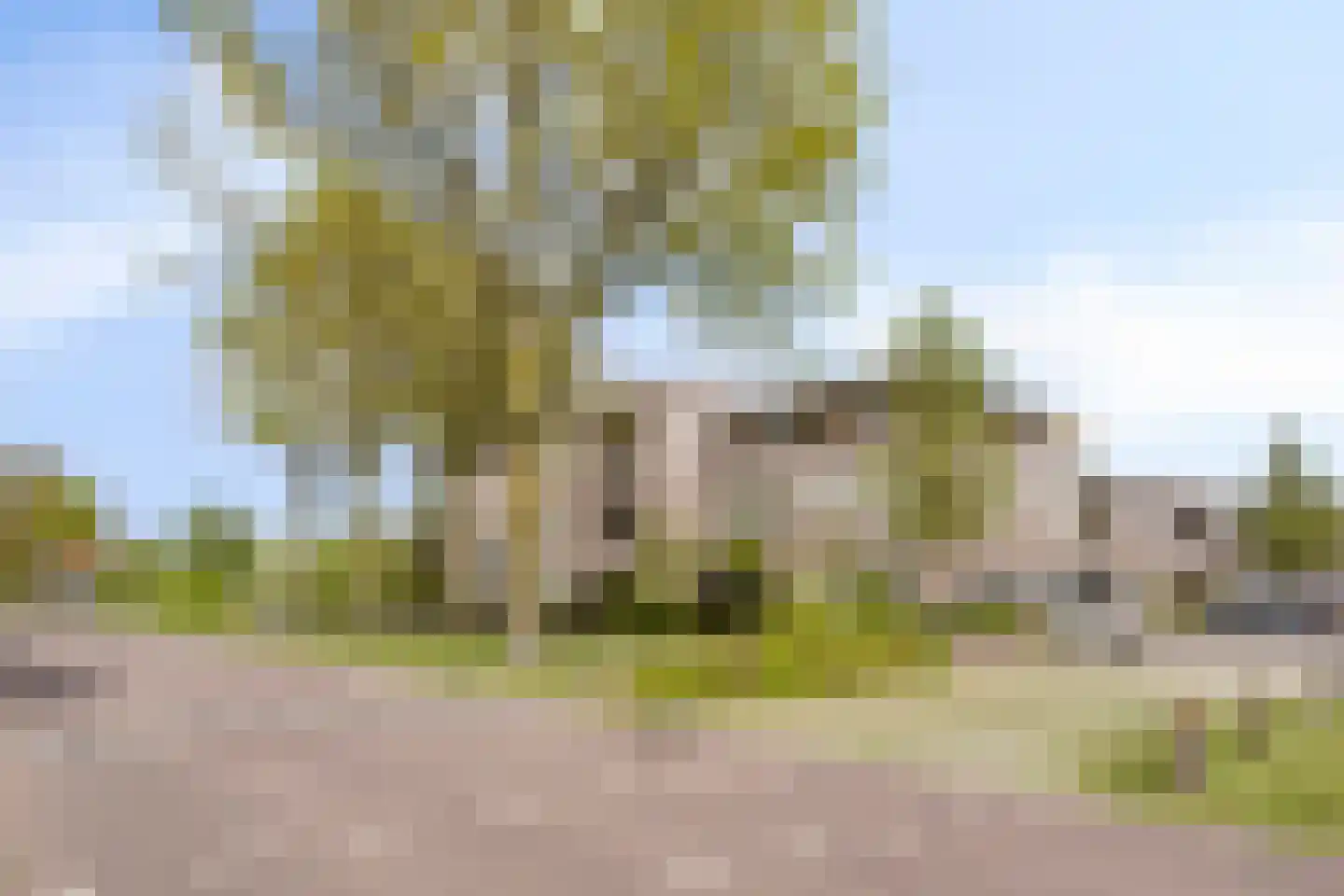 Vondellaan 159 Gemert thumbnail 4