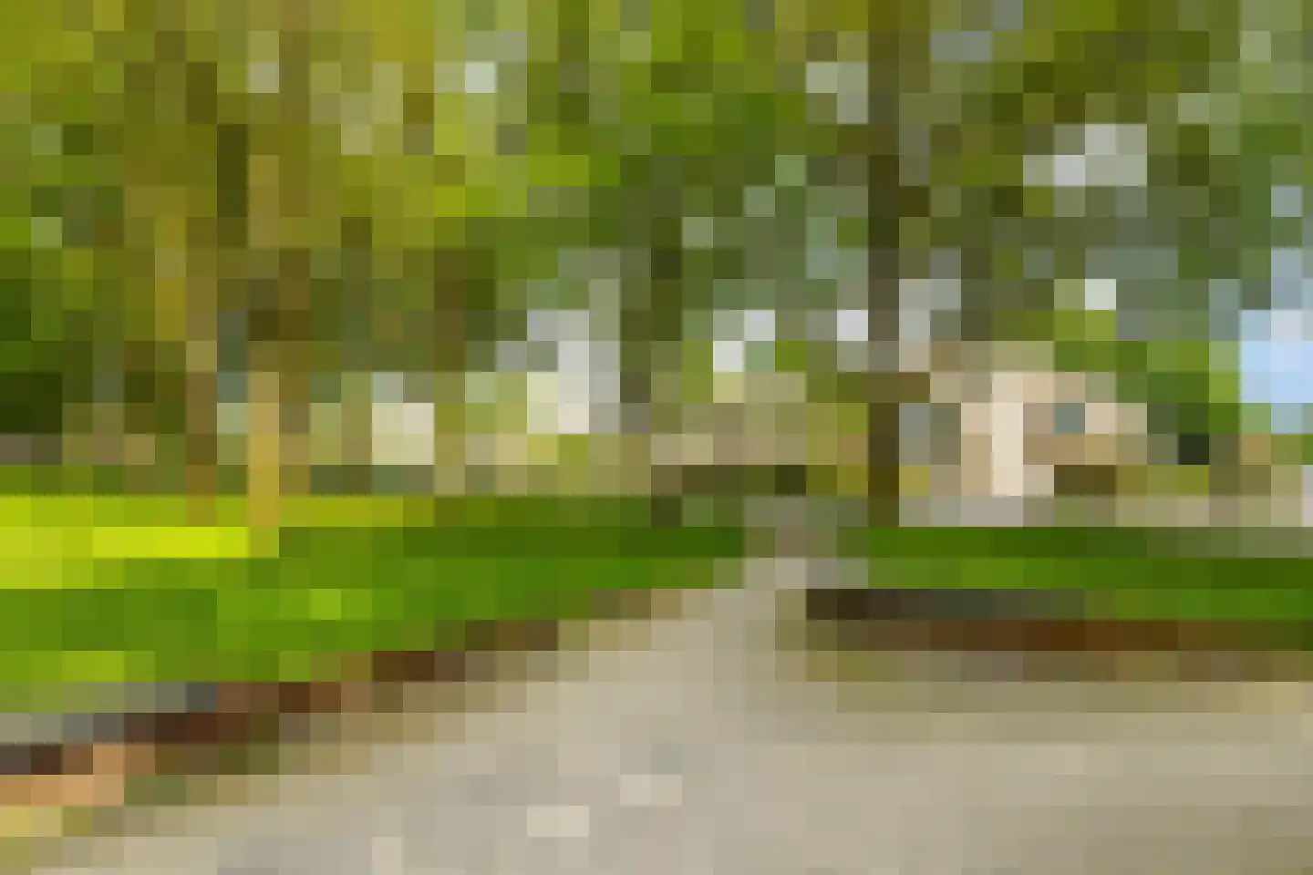 Vondellaan 16 3 Haren Gn thumbnail 45