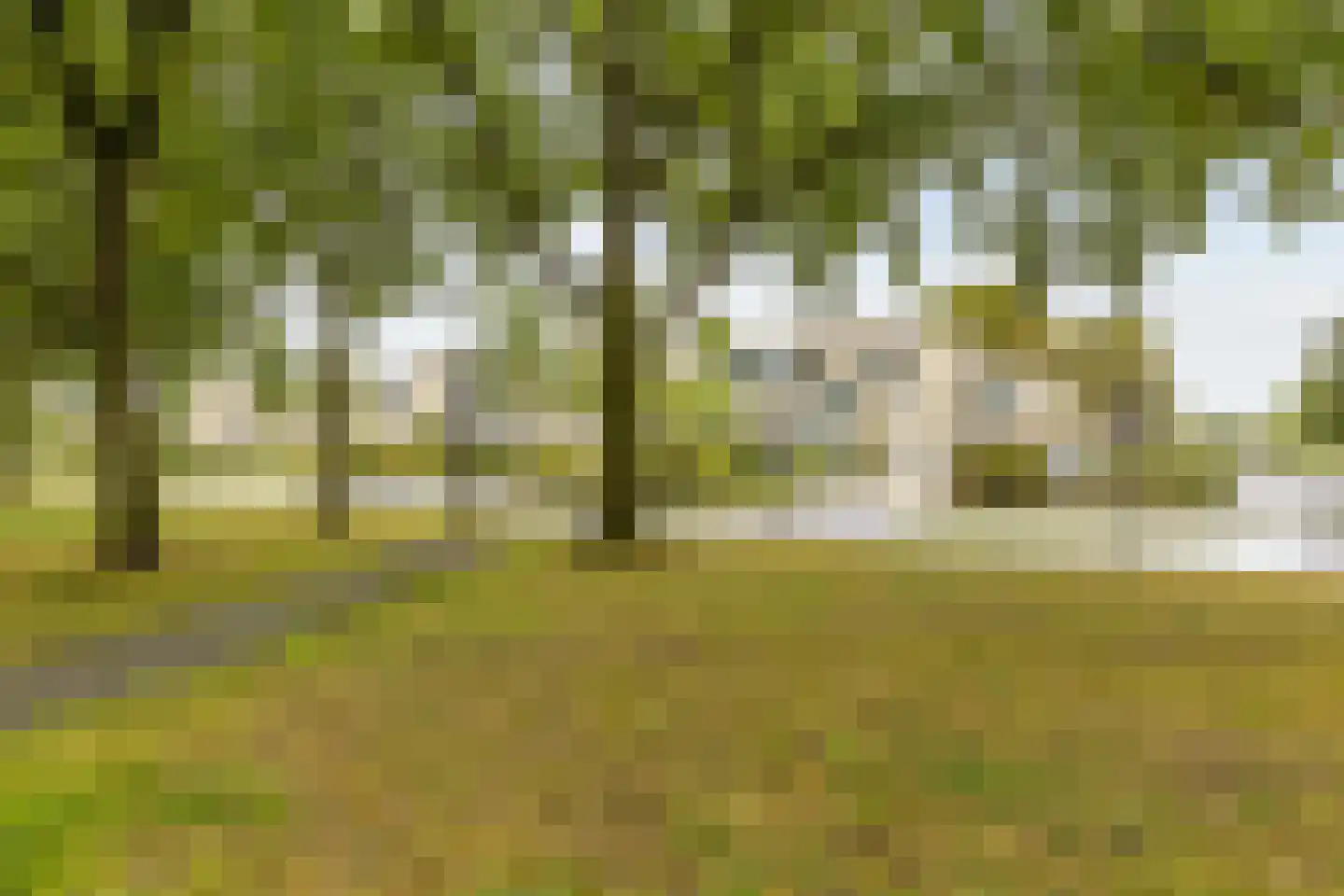 Vondellaan 16 4 Haren Gn thumbnail 4