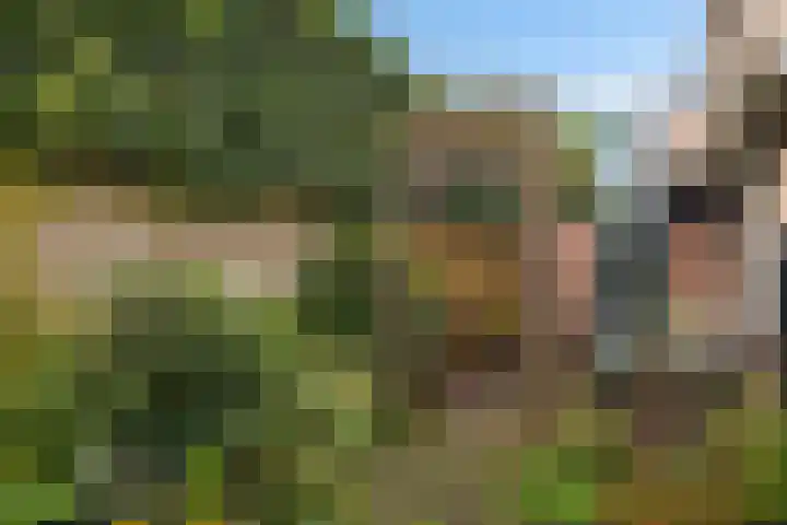 Vondellaan 16 Soest thumbnail 17