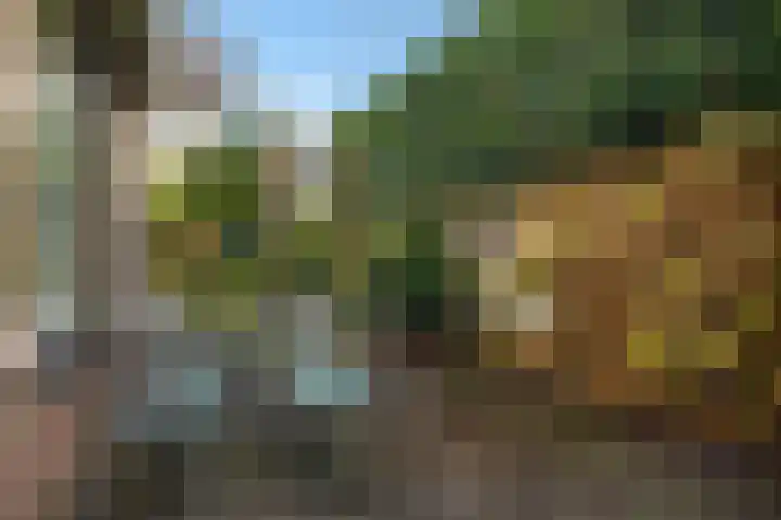 Vondellaan 16 Soest thumbnail 18