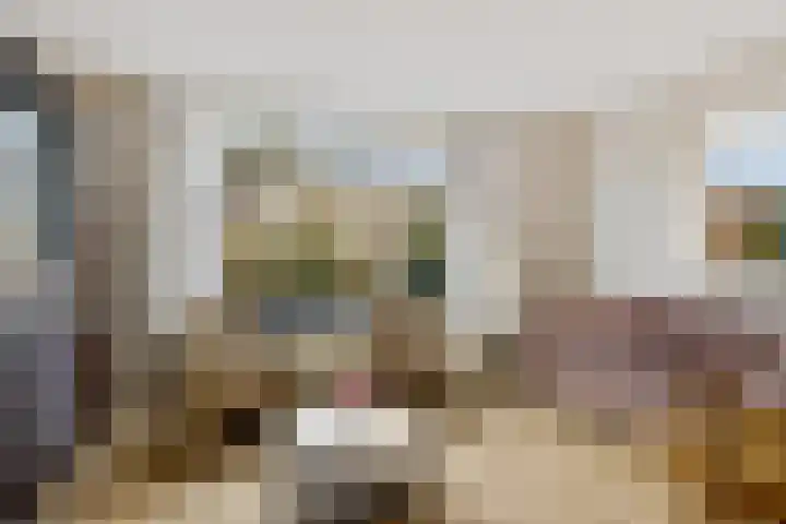 Vondellaan 16 Soest thumbnail 5