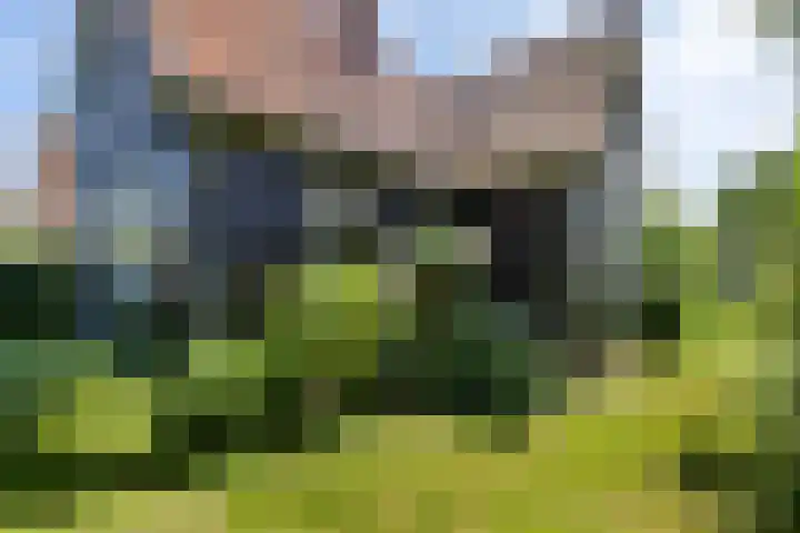 Vondellaan 16 Vlissingen thumbnail 10