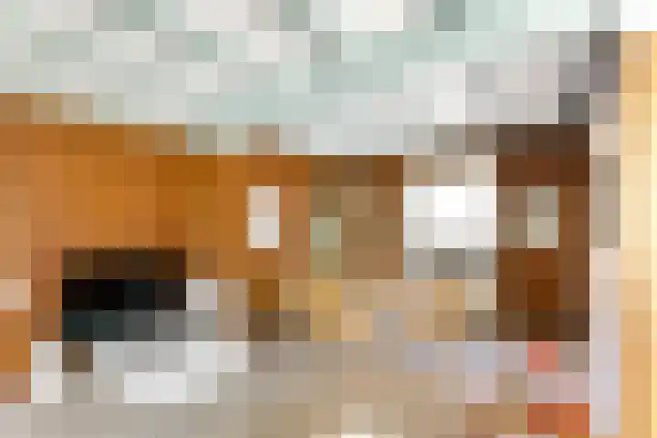 Vondellaan 16 Vlissingen thumbnail 17
