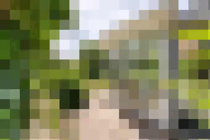 Vondellaan 16 Vlissingen thumbnail 21