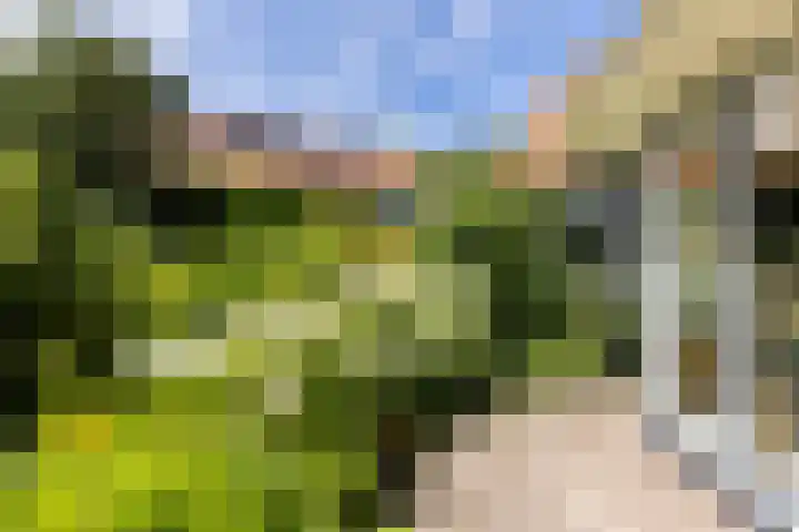 Vondellaan 16 Vlissingen thumbnail 22