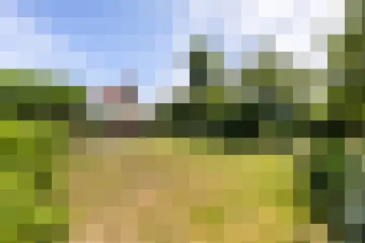 Vondellaan 16 Vlissingen thumbnail 23