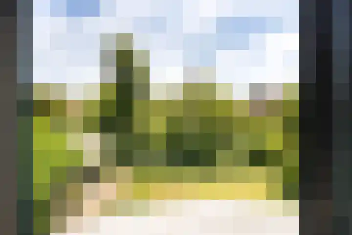 Vondellaan 16 Vlissingen thumbnail 28